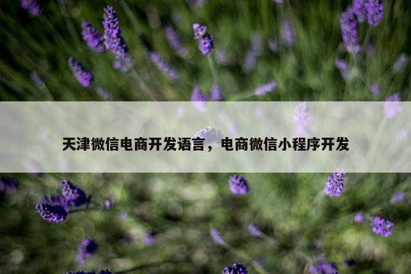 天津微信电商开发语言，电商微信小程序开发