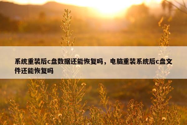 系统重装后c盘数据还能恢复吗，电脑重装系统后c盘文件还能恢复吗