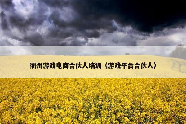 衢州游戏电商合伙人培训（游戏平台合伙人）