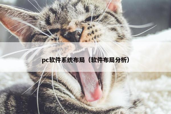 pc软件系统布局（软件布局分析）