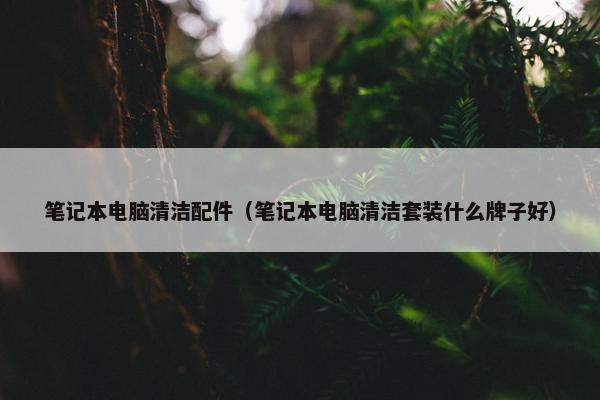 笔记本电脑清洁配件（笔记本电脑清洁套装什么牌子好）