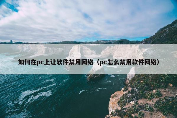 如何在pc上让软件禁用网络（pc怎么禁用软件网络）