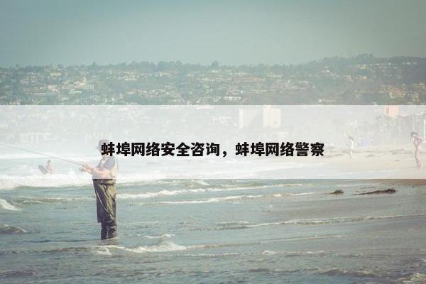 蚌埠网络安全咨询，蚌埠网络警察