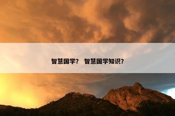 智慧国学？ 智慧国学知识？
