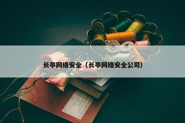 长亭网络安全（长亭网络安全公司）