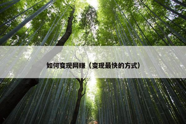 如何变现网赚（变现最快的方式）