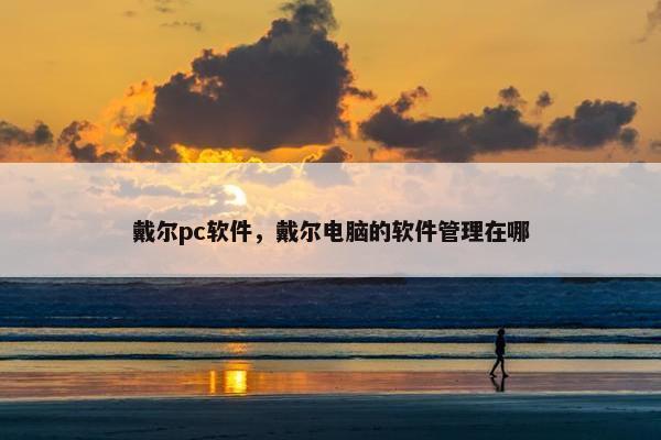 戴尔pc软件，戴尔电脑的软件管理在哪