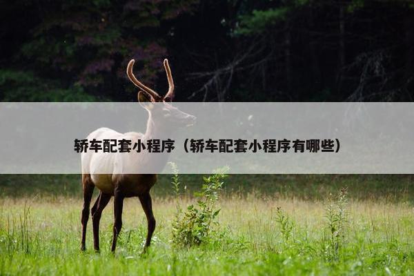 轿车配套小程序（轿车配套小程序有哪些）