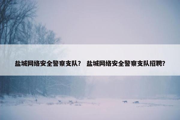 盐城网络安全警察支队？ 盐城网络安全警察支队招聘？