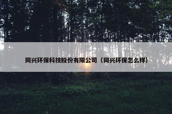 同兴环保科技股份有限公司（同兴环保怎么样）