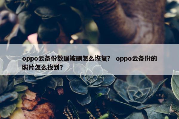 oppo云备份数据被删怎么恢复？ oppo云备份的照片怎么找到？