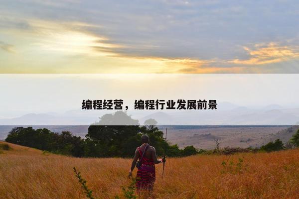编程经营，编程行业发展前景
