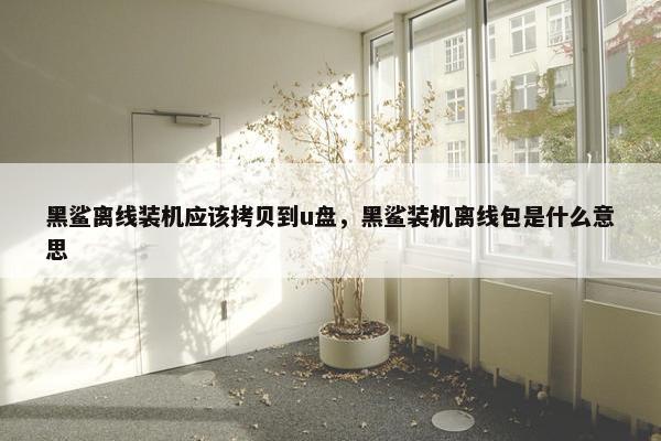 黑鲨离线装机应该拷贝到u盘，黑鲨装机离线包是什么意思