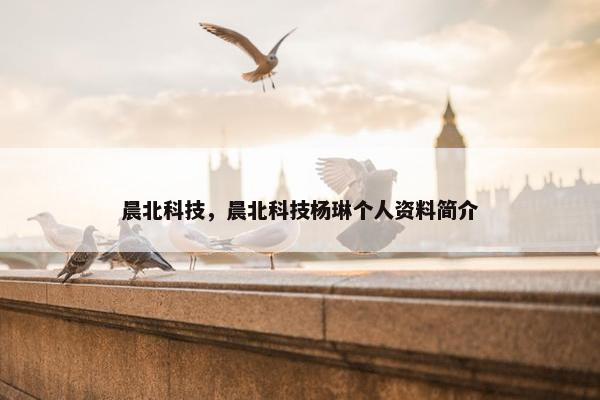 晨北科技，晨北科技杨琳个人资料简介