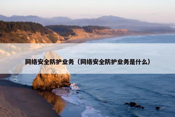 网络安全防护业务（网络安全防护业务是什么）