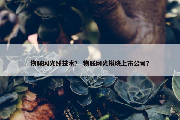 物联网光纤技术？ 物联网光模块上市公司？