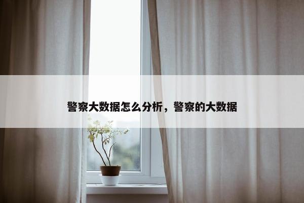 警察大数据怎么分析，警察的大数据