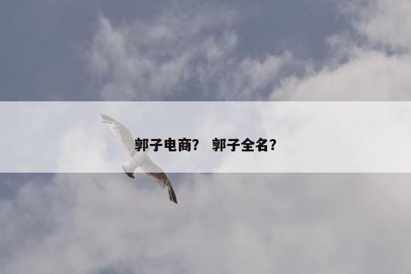 郭子电商？ 郭子全名？