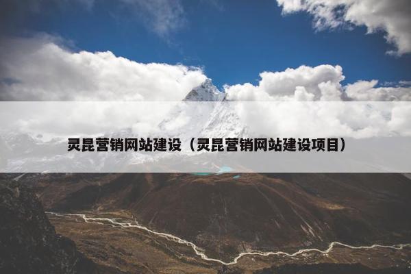 灵昆营销网站建设（灵昆营销网站建设项目）