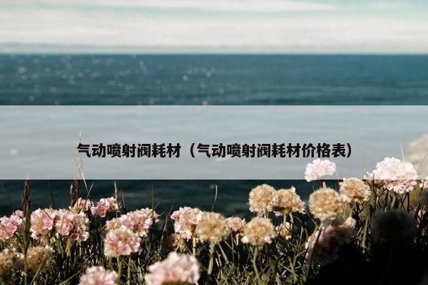 气动喷射阀耗材（气动喷射阀耗材价格表）