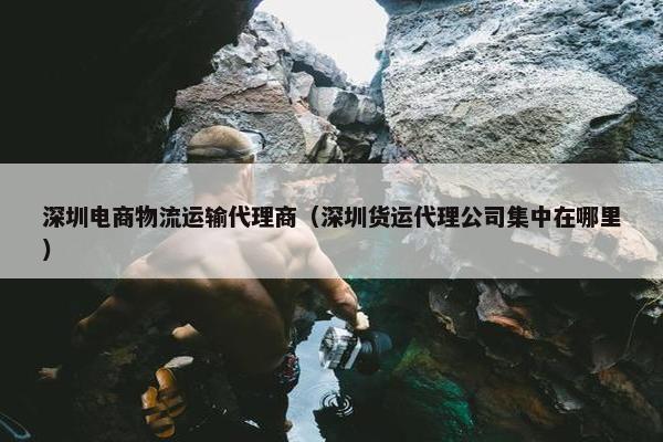 深圳电商物流运输代理商（深圳货运代理公司集中在哪里）