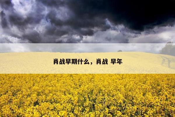 肖战早期什么，肖战 早年