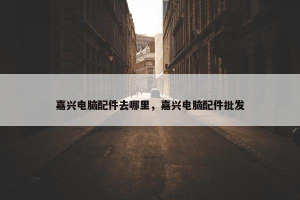 嘉兴电脑配件去哪里，嘉兴电脑配件批发