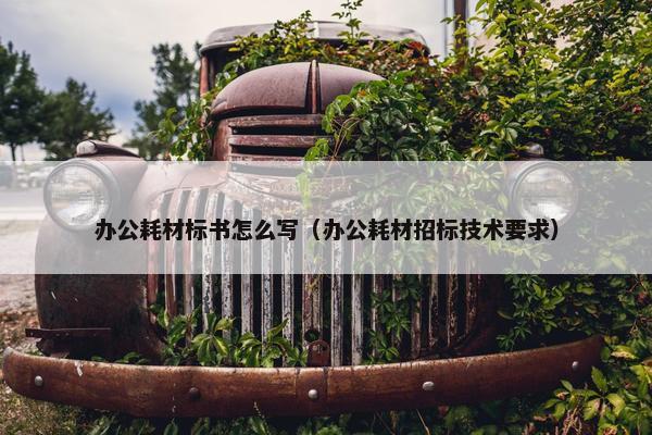 办公耗材标书怎么写（办公耗材招标技术要求）