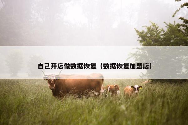 自己开店做数据恢复（数据恢复加盟店）