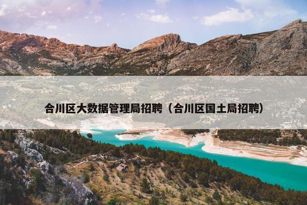合川区大数据管理局招聘（合川区国土局招聘）