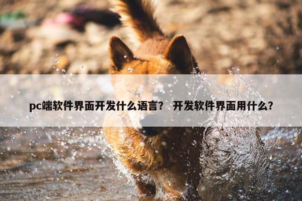 pc端软件界面开发什么语言？ 开发软件界面用什么？