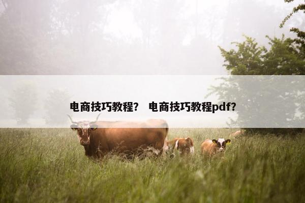 电商技巧教程？ 电商技巧教程pdf？
