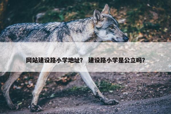 网站建设路小学地址？ 建设路小学是公立吗？