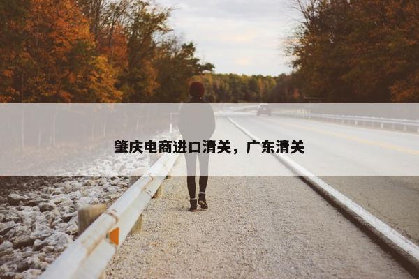 肇庆电商进口清关，广东清关