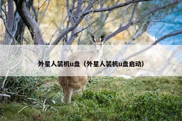 外星人装机u盘（外星人装机u盘启动）