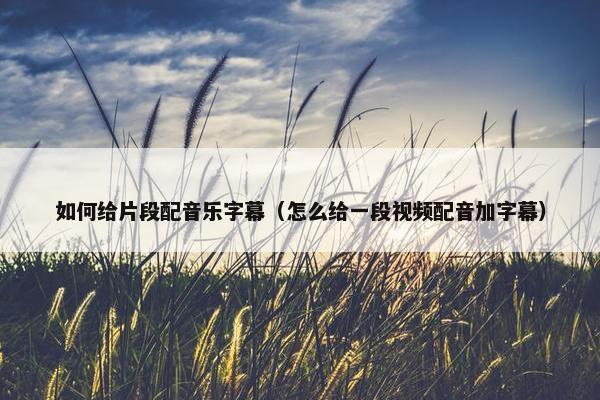 如何给片段配音乐字幕（怎么给一段视频配音加字幕）