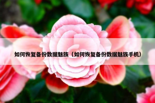 如何恢复备份数据魅族（如何恢复备份数据魅族手机）