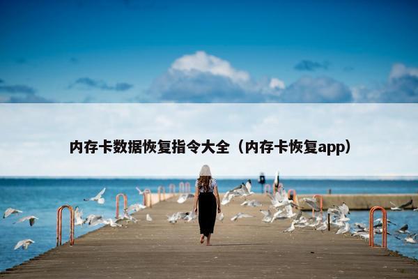 内存卡数据恢复指令大全（内存卡恢复app）