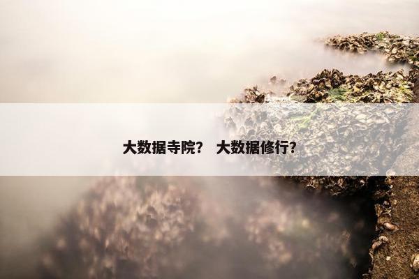 大数据寺院？ 大数据修行？