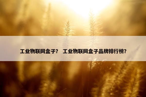 工业物联网盒子？ 工业物联网盒子品牌排行榜？