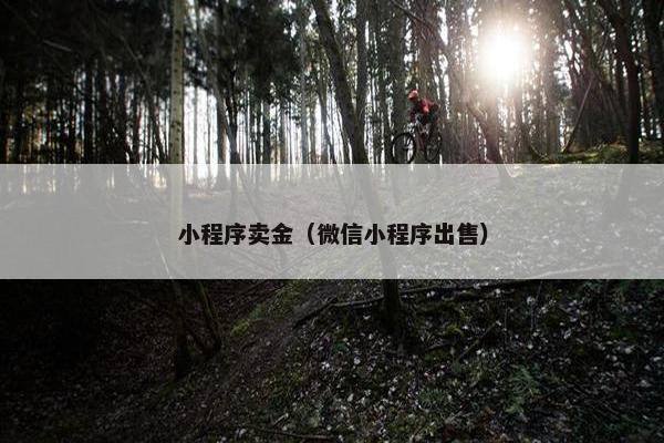 小程序卖金（微信小程序出售）