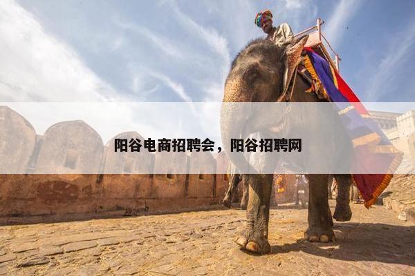 阳谷电商招聘会，阳谷招聘网