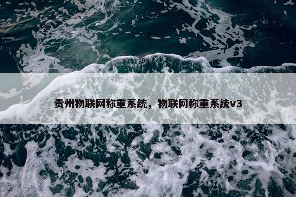 贵州物联网称重系统，物联网称重系统v3