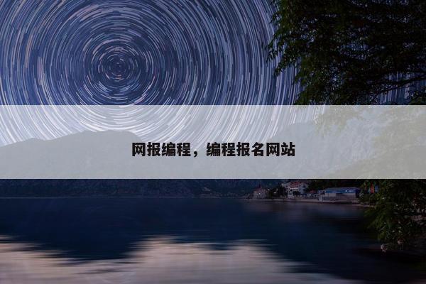 网报编程，编程报名网站