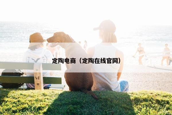 定陶电商（定陶在线官网）