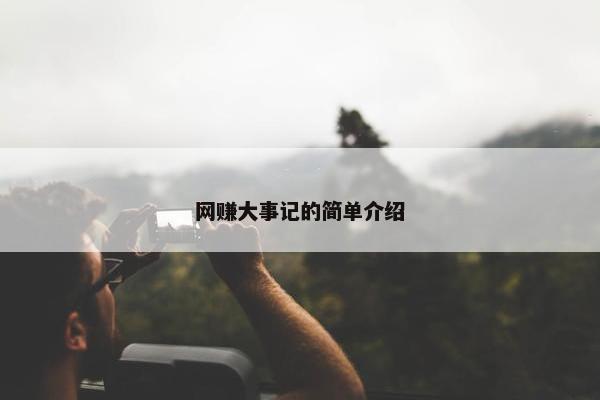 网赚大事记的简单介绍