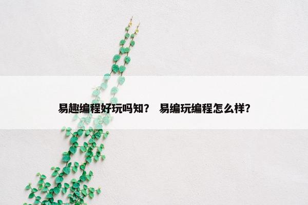 易趣编程好玩吗知？ 易编玩编程怎么样？