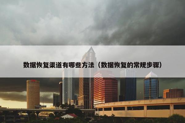 数据恢复渠道有哪些方法（数据恢复的常规步骤）