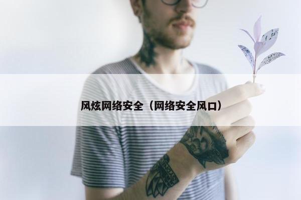 风炫网络安全（网络安全风口）
