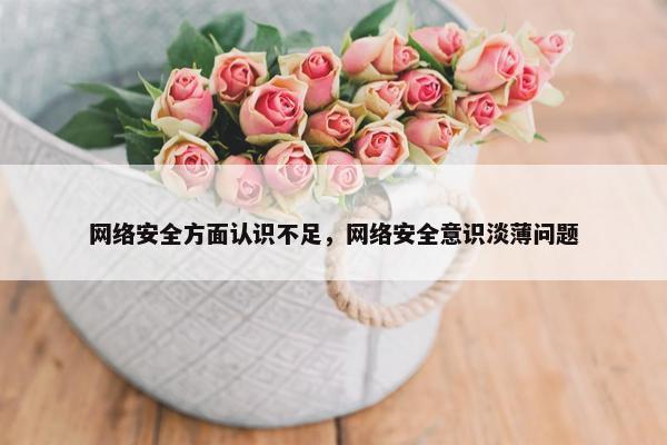 网络安全方面认识不足，网络安全意识淡薄问题